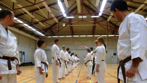 Kihon & Kata training 15 juni 2013